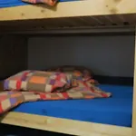 Snowbunnys Backpackers Auberge de jeunesse *