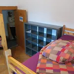 Snowbunnys Backpackers Kitzbühel