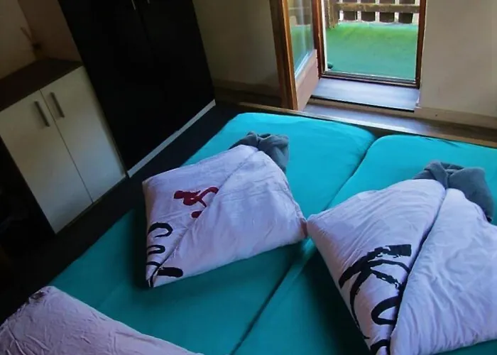 Auberge de jeunesse Snowbunnys Backpackers