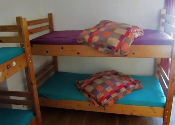 Snowbunnys Backpackers Auberge de jeunesse *