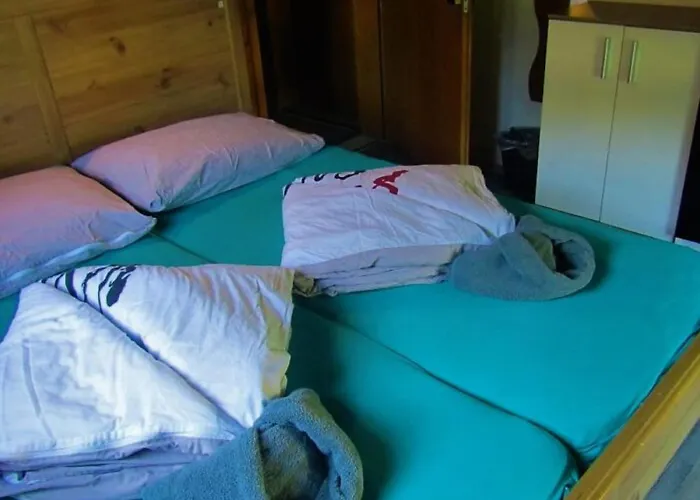 Auberge de jeunesse Snowbunnys Backpackers *