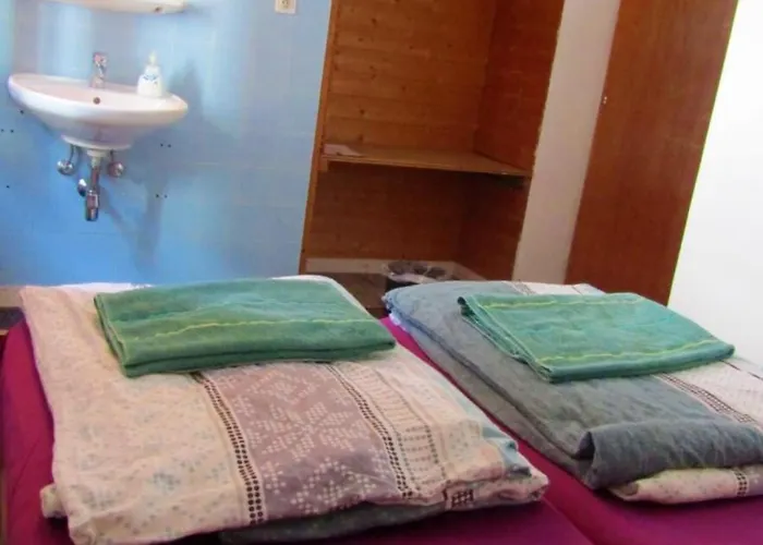 Snowbunnys Backpackers Auberge de jeunesse *