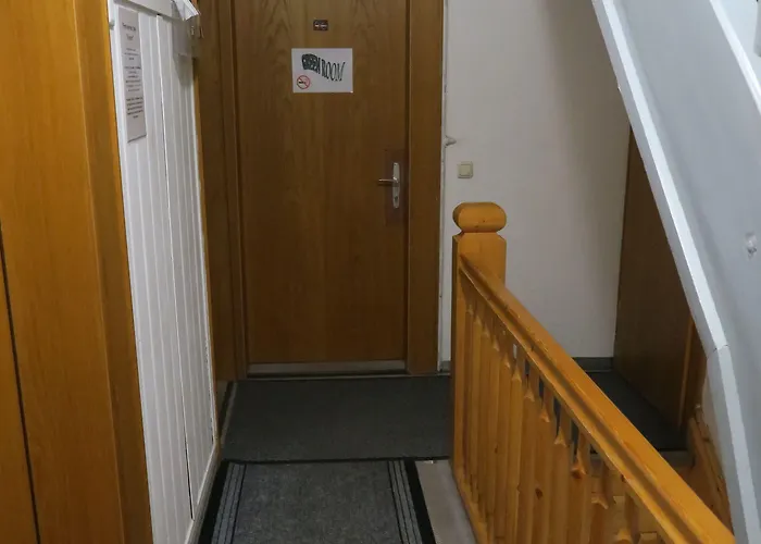 Auberge de jeunesse Snowbunnys Backpackers *