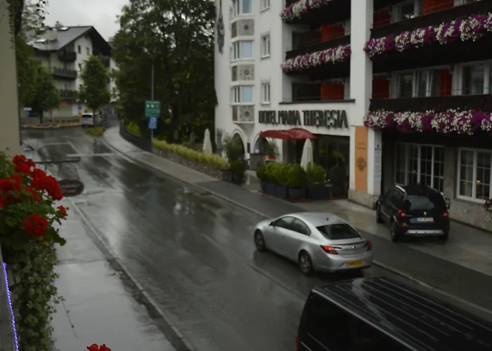 Auberge de jeunesse Snowbunnys Backpackers *