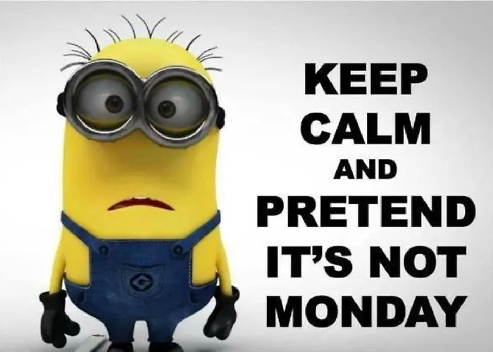 Snowbunnys Backpackers Auberge de jeunesse *