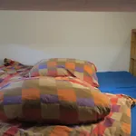 Snowbunnys Backpackers Hostel Kitzbühel