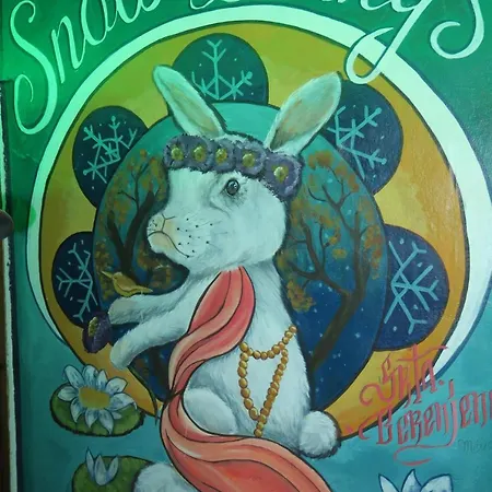 Snowbunnys Backpackers Hostal *